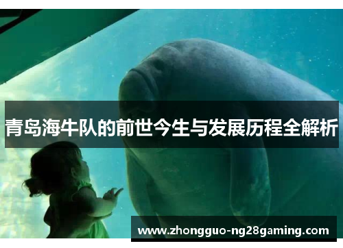 青岛海牛队的前世今生与发展历程全解析 青岛海牛队的前世今生与发展历程全解析
