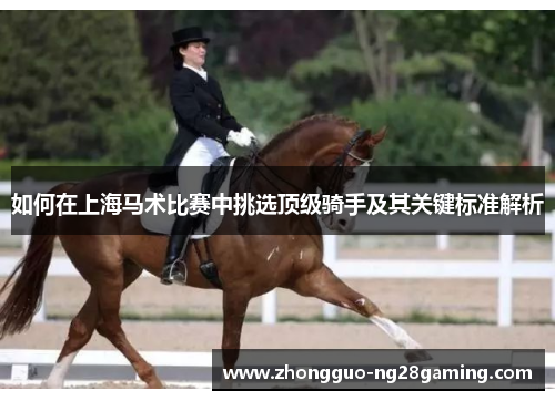 如何在上海马术比赛中挑选顶级骑手及其关键标准解析