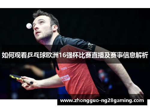 如何观看乒乓球欧洲16强杯比赛直播及赛事信息解析