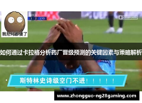 如何通过卡拉格分析药厂晋级预测的关键因素与策略解析