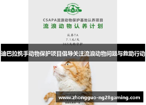 迪巴拉携手动物保护项目倡导关注流浪动物问题与救助行动 迪巴拉携手动物保护项目倡导关注流浪动物问题与救助行动